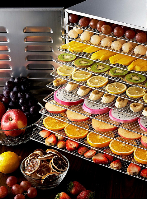 Дегидратор Kocateq DHFD10
